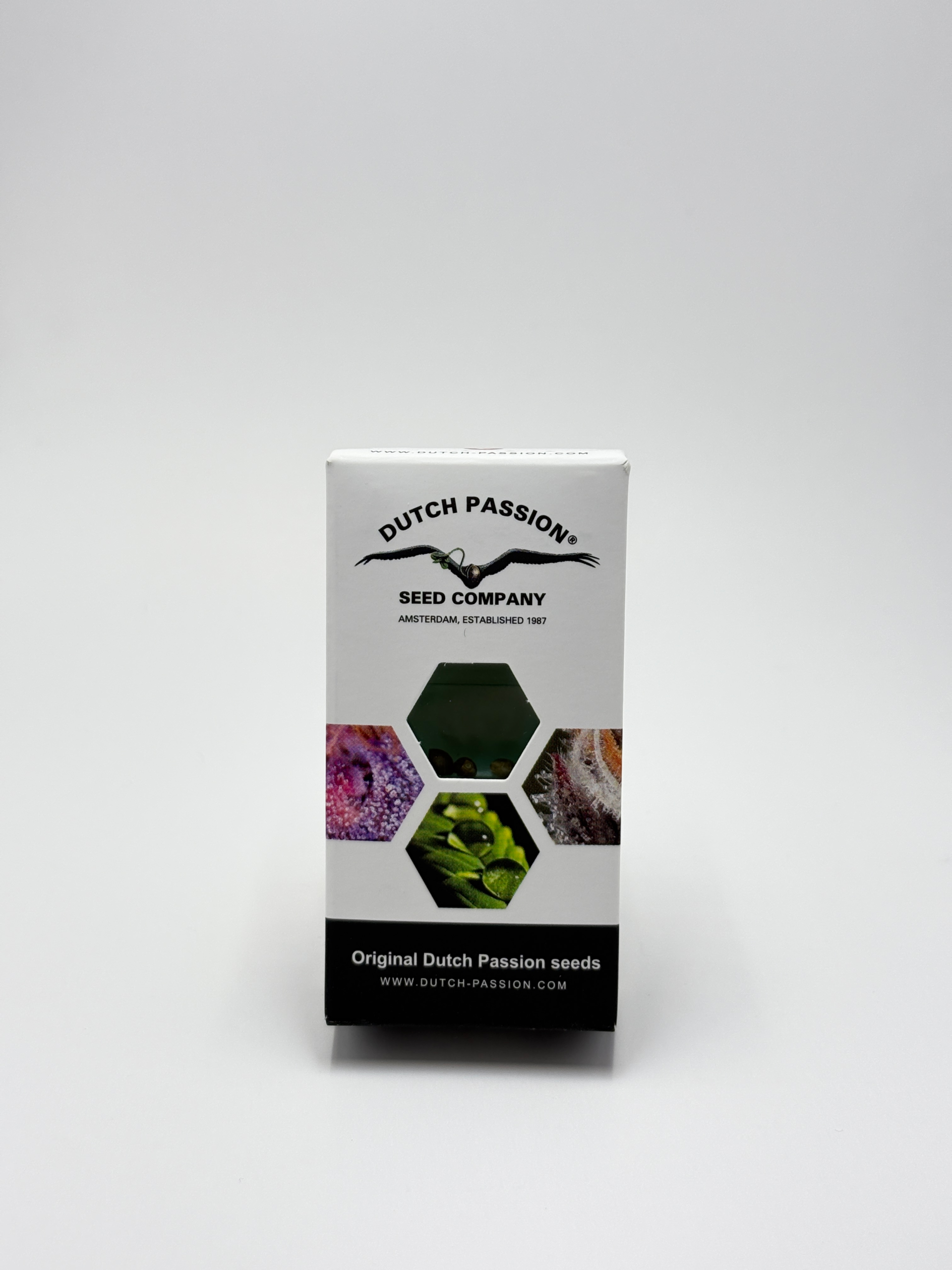 Orange Bud by Dutch Passion - Autoflower - 3 fem seeds