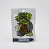 Bananium by In House Genetics - Photoperiod - 3 fem seeds