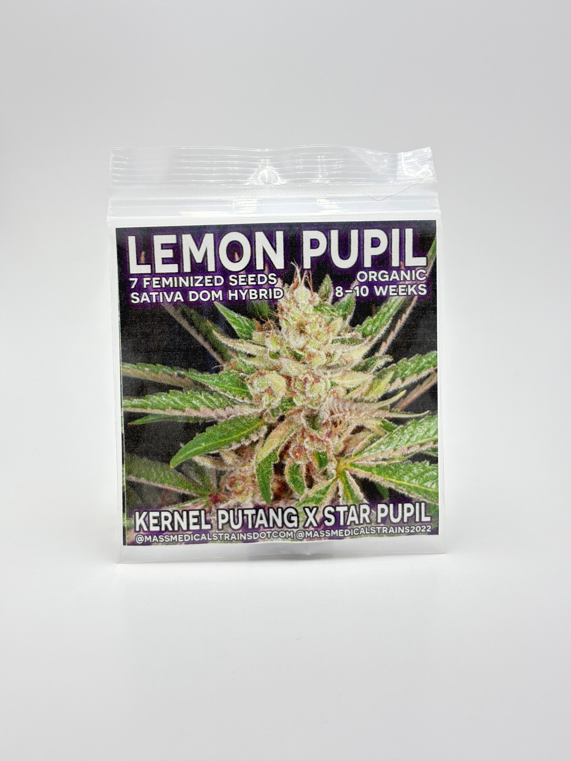 Lemon Pupil by Mass Medical Strains - Photoperiod - 7 fem seeds