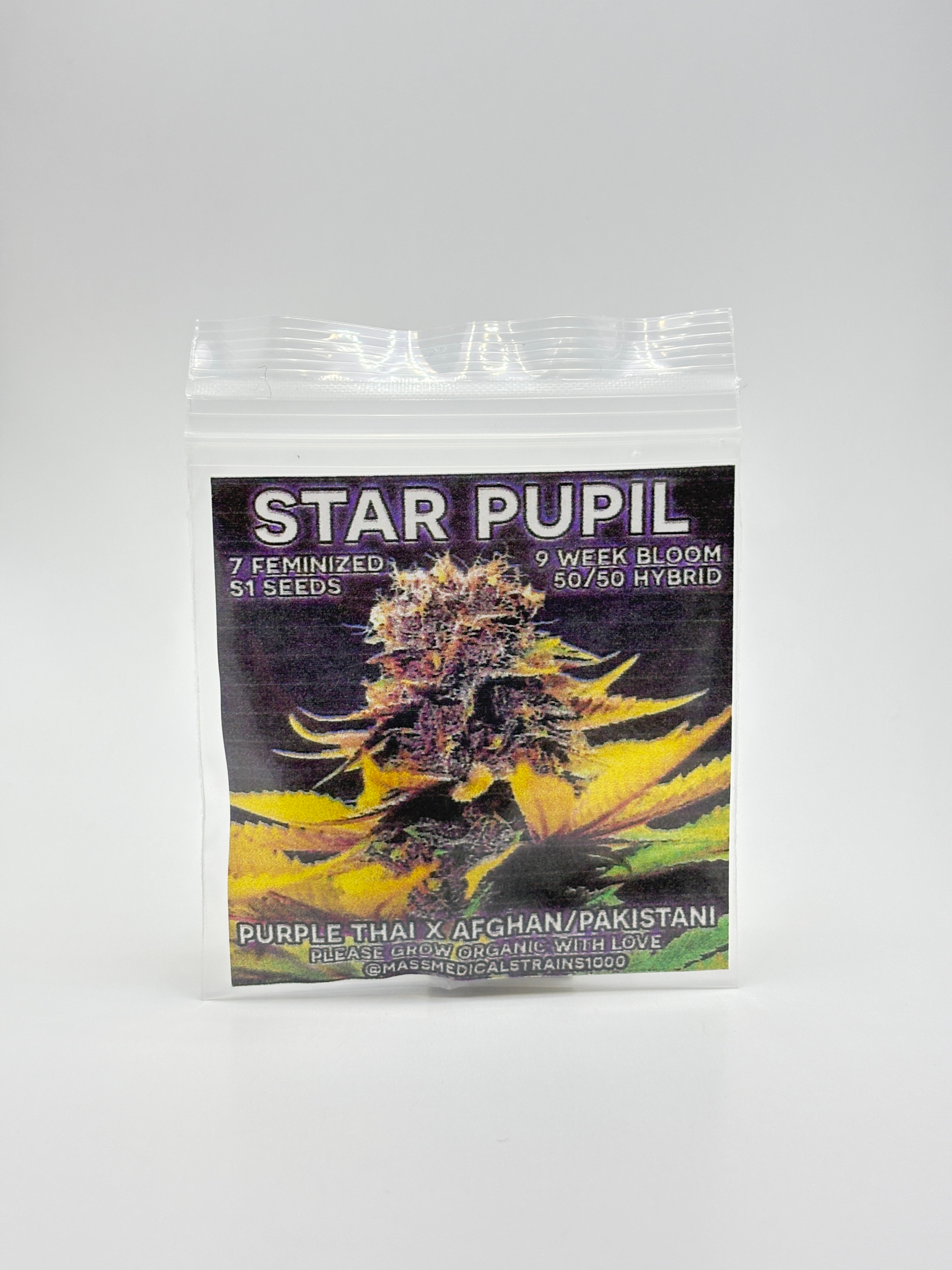 Star Pupil by Mass Medical Strains - Photoperiod - 7 fem seeds