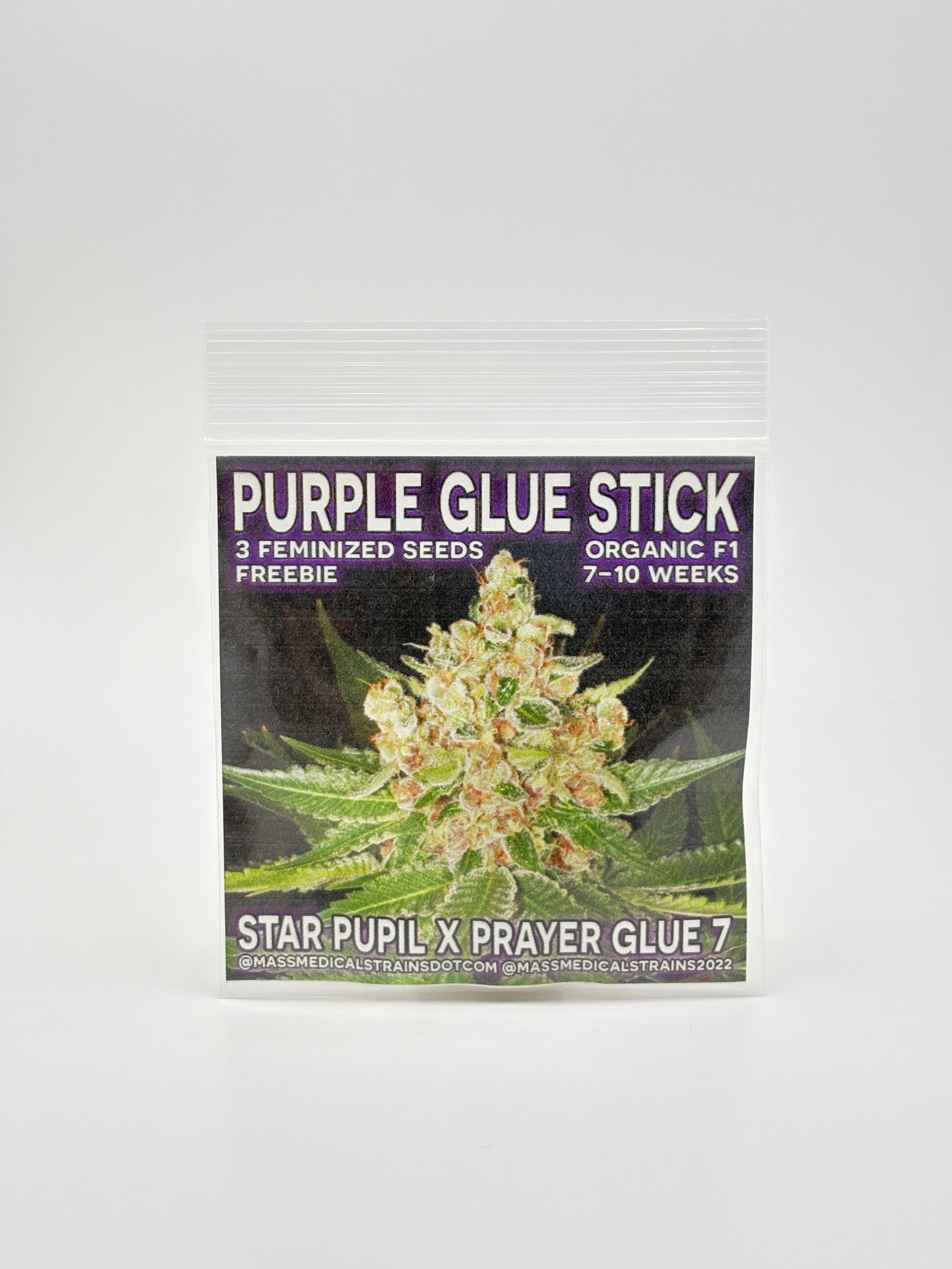 Purple Glue Stick by Mass Medical Strains - Photoperiod - 3 fem seeds