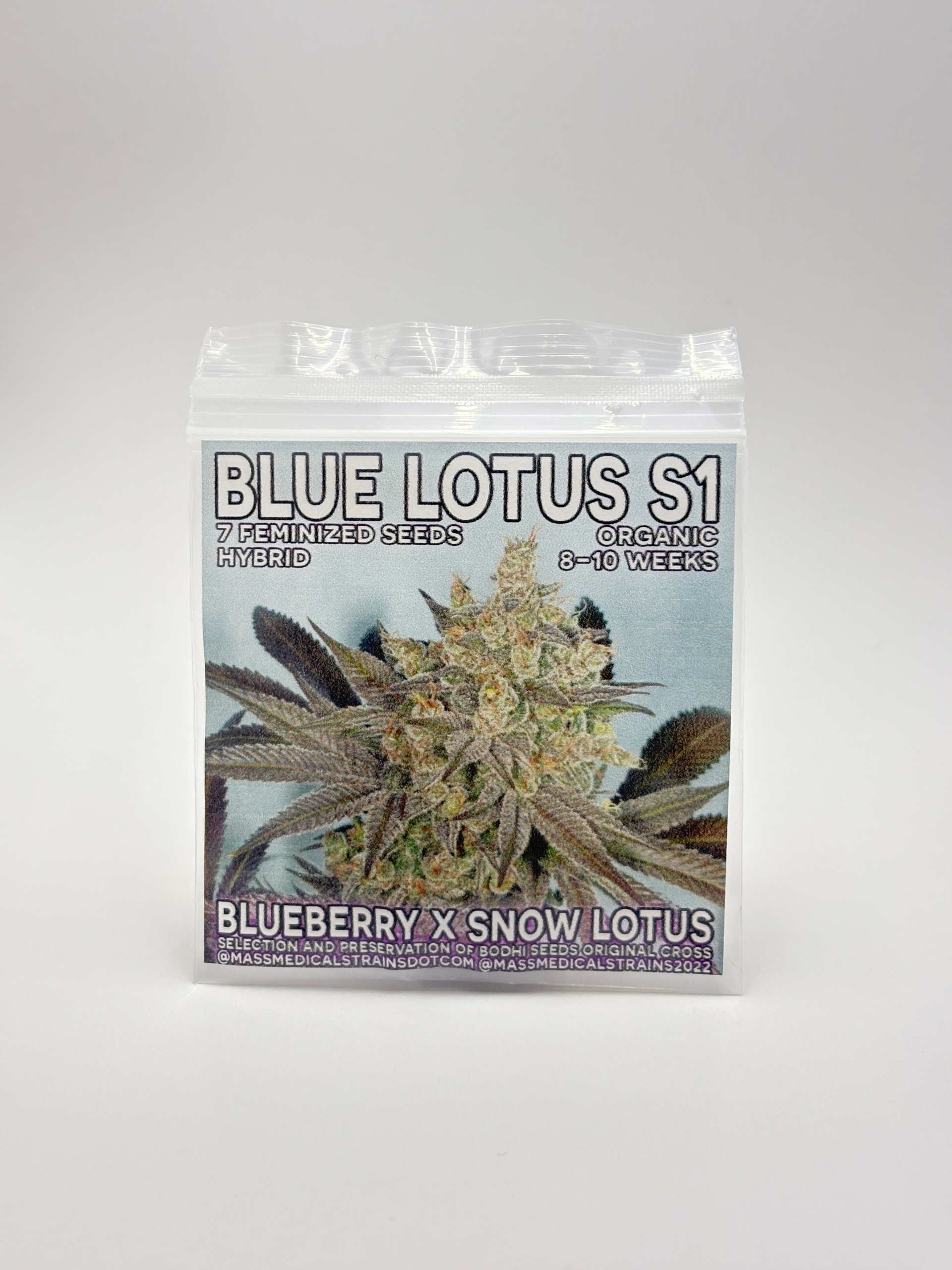 Blue Lotus S1 by Mass Medical Strains - Photoperiod - 7 fem seeds