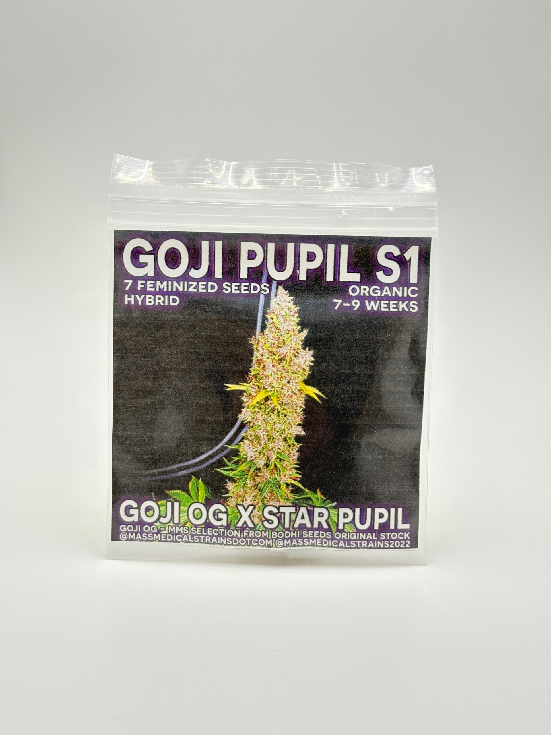 Goji Pupil S1 by Mass Medical Strains - Photoperiod - 7 fem seeds