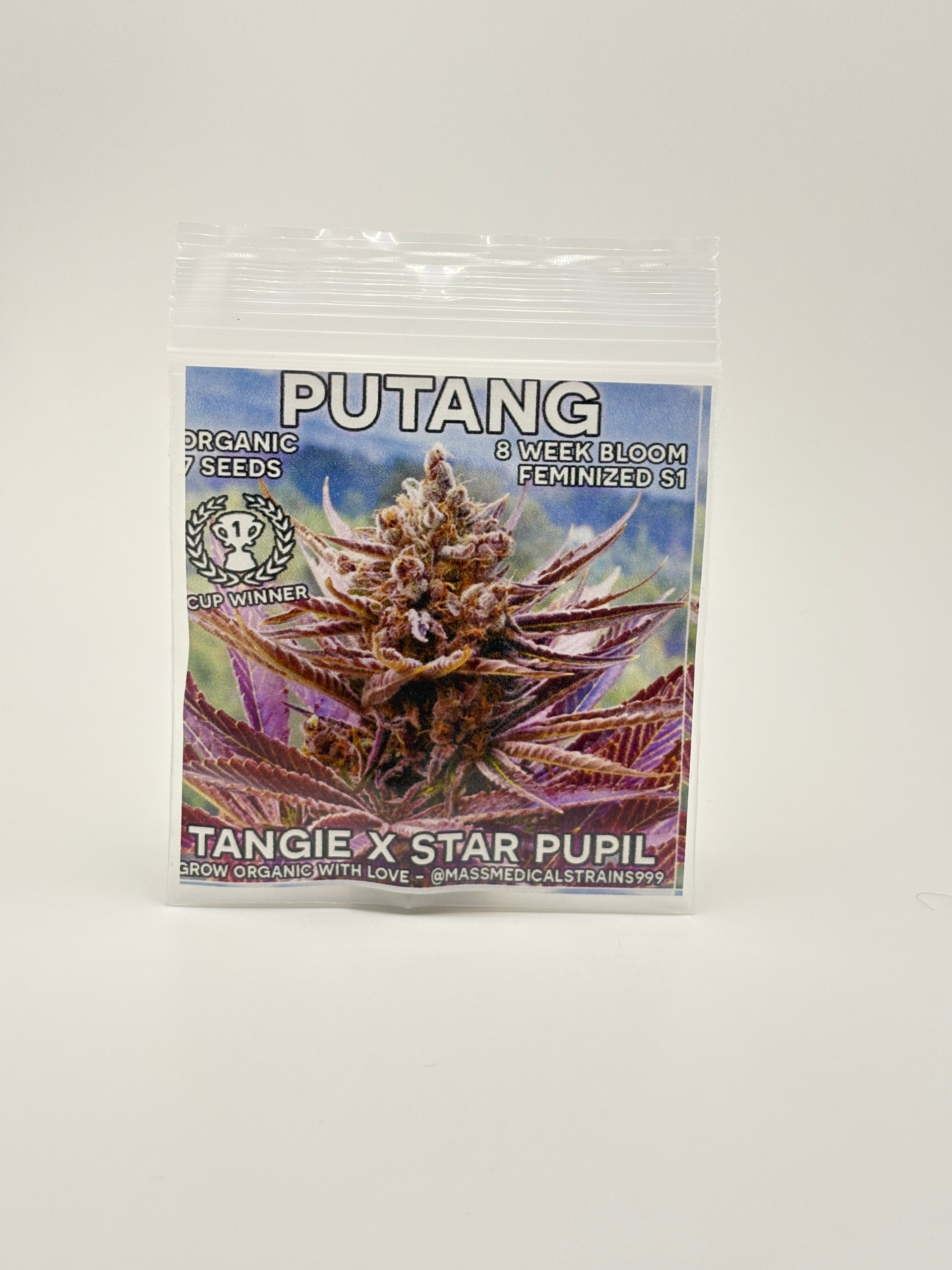 IMG_5369.webp Putang by Mass Medical Strains - Photoperiod - 7 fem seeds