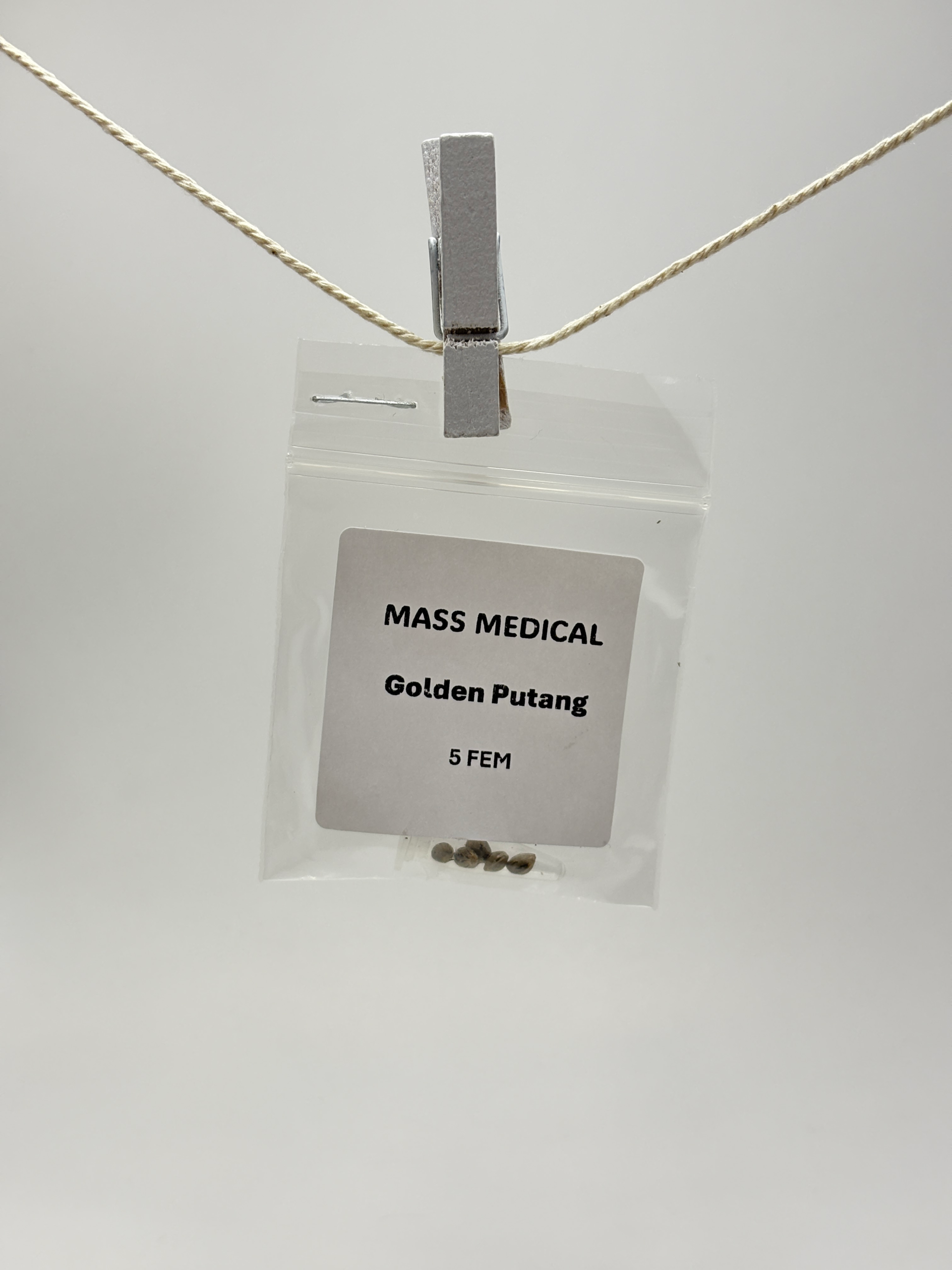 Golden Putang by Mass Medical Strains - Photoperiod - 3+ fem seeds