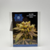 Flo Star by Blue Star Seed Co - Photoperiod - 4+ fem seeds