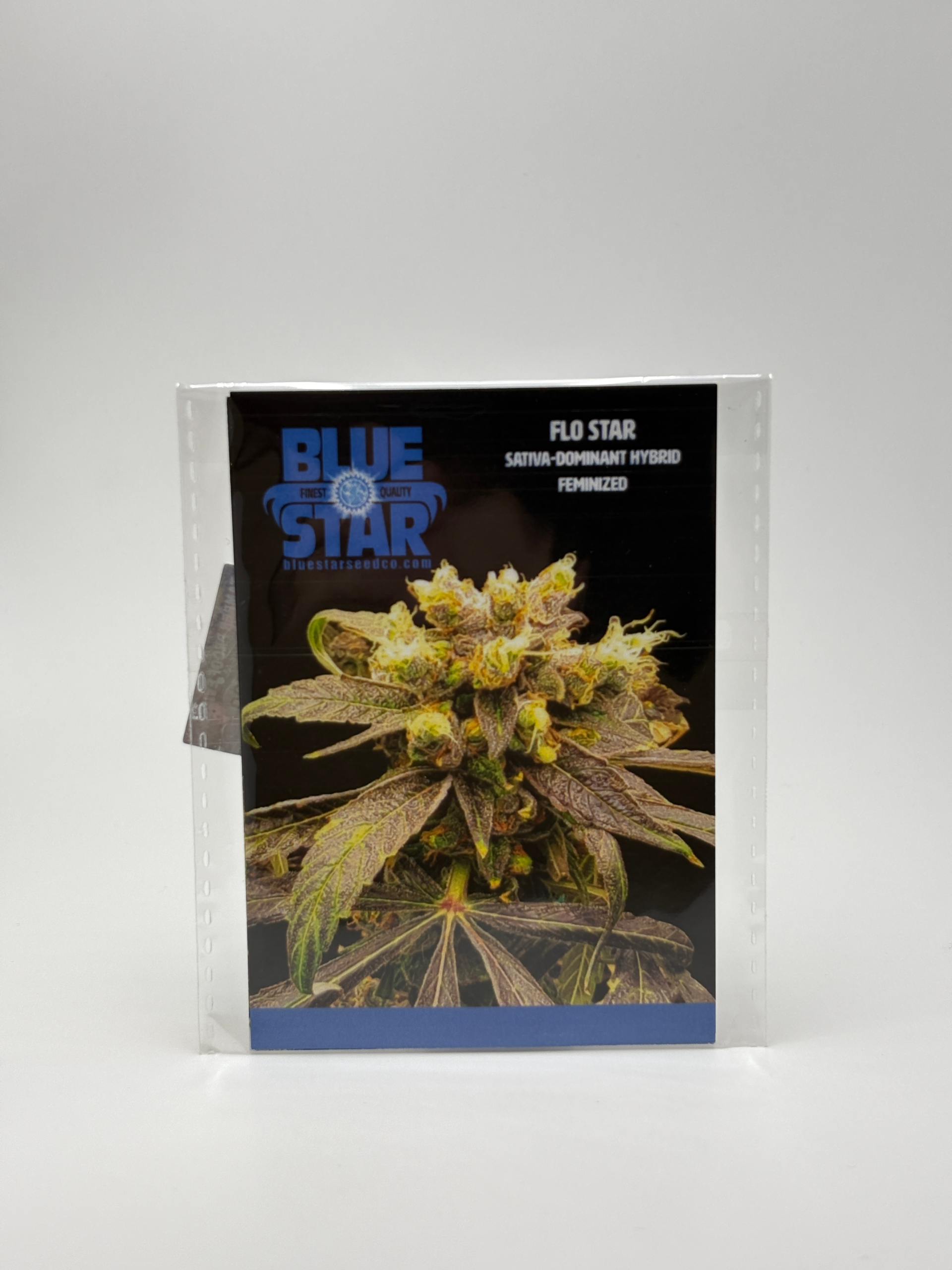 Flo Star by Blue Star Seed Co - Photoperiod - 4+ fem seeds