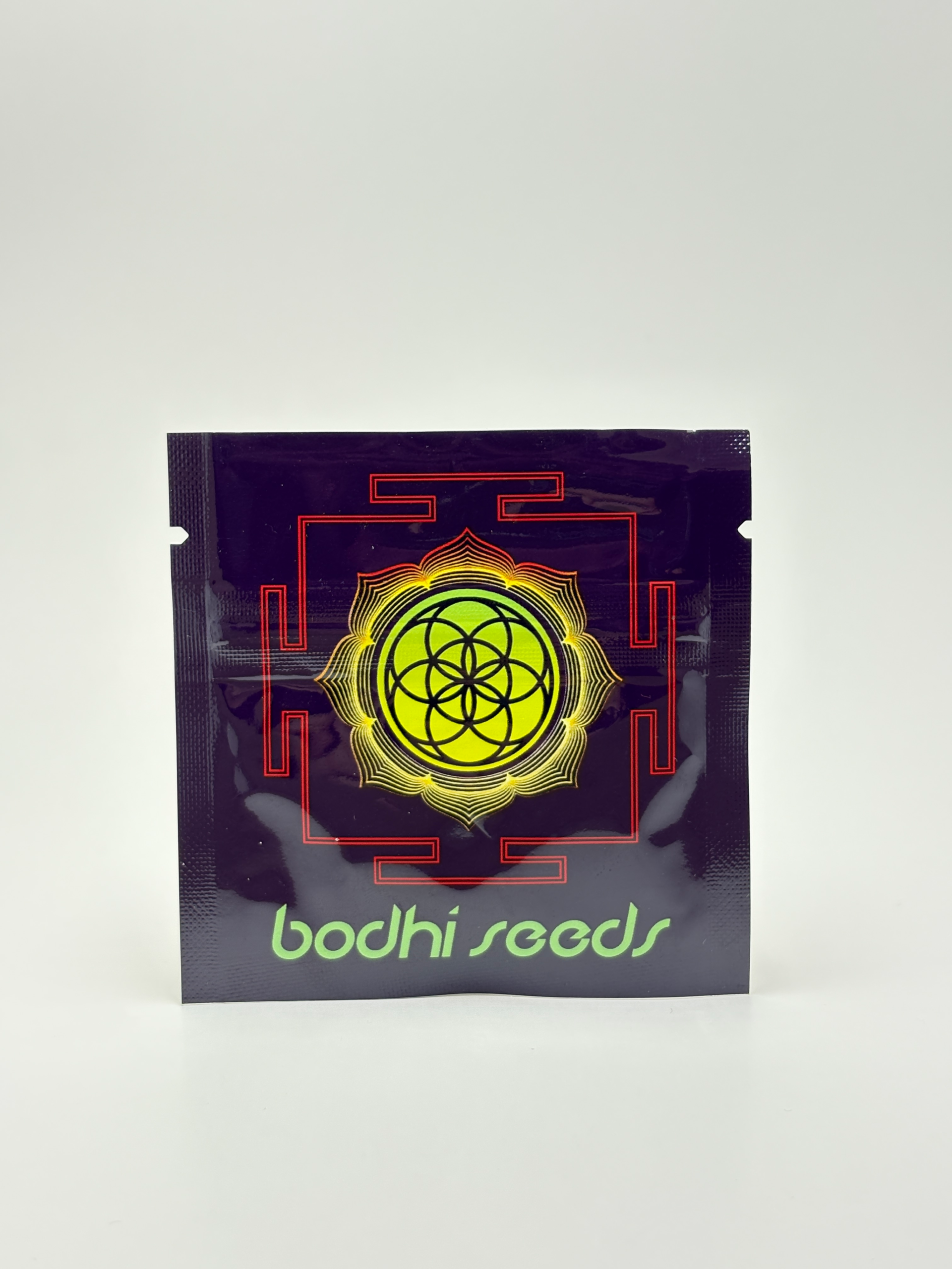 Hashplant D by Bodhi Seeds - Photoperiod - 11 reg seeds