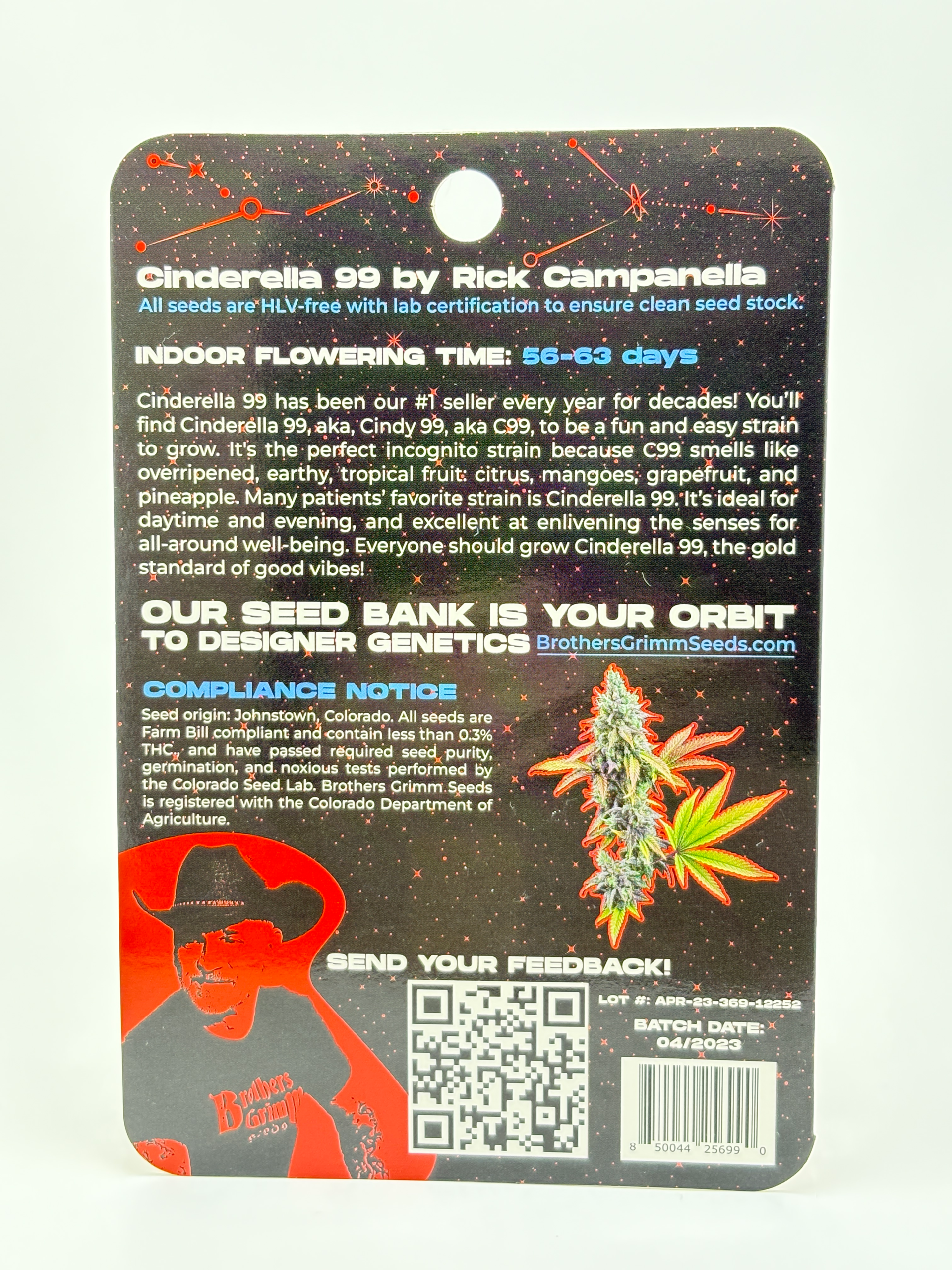 Cinderella 99 by Brothers Grimm - Photoperiod - 4 fem seeds