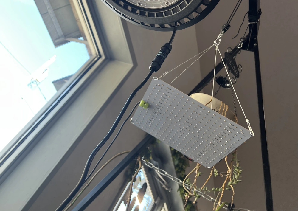 75W LED Quantum Board Grow Light