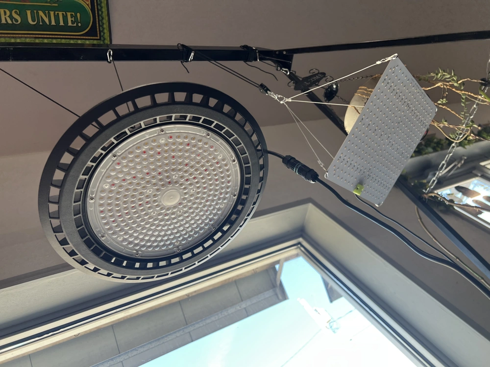 200W UFO Grow Light