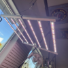 720W LED Grow Light