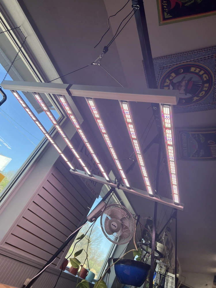 720W LED Grow Light