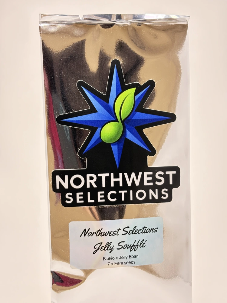 Jelly Soufflé by Northwest Selections - Photoperiod - 7 fem seeds