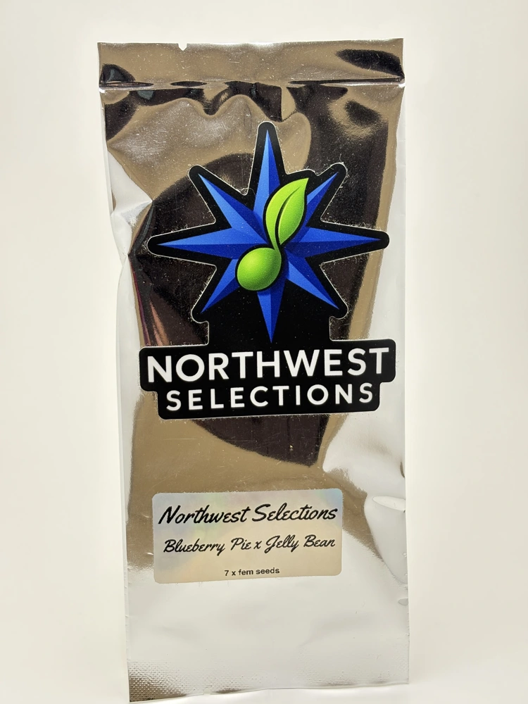 Blueberry Pie x Jelly Bean by Northwest Selections - Photoperiod - 7 fem seeds