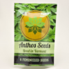Chillmatic by Anthos Seeds - Photoperiod - 6 fem seeds