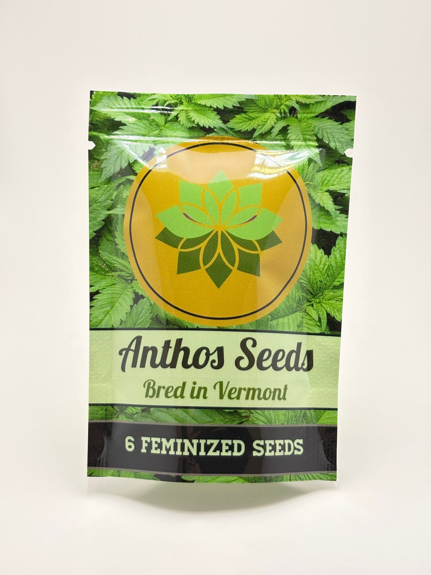 Chillmatic by Anthos Seeds - Photoperiod - 6 fem seeds