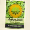 Niben F5 by Anthos Seeds - Photoperiod - 6 fem seeds