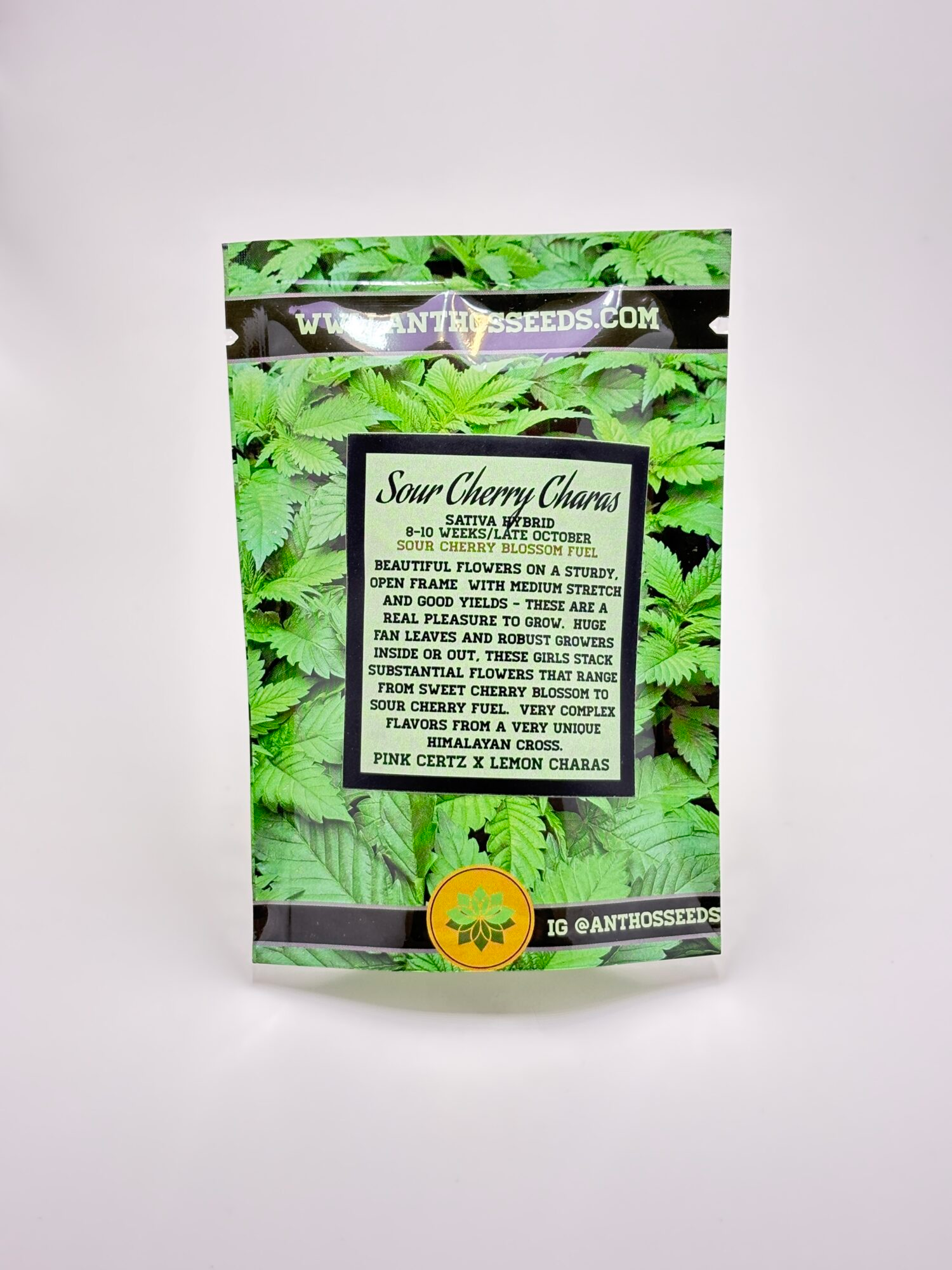 IMG_6529.webp Sour Cherry Charas by Anthos Seeds - Photoperiod - 12 reg seeds