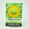 IMG_6534.webp Anthomancer by Anthos Seeds - Photoperiod - 6 fem seeds