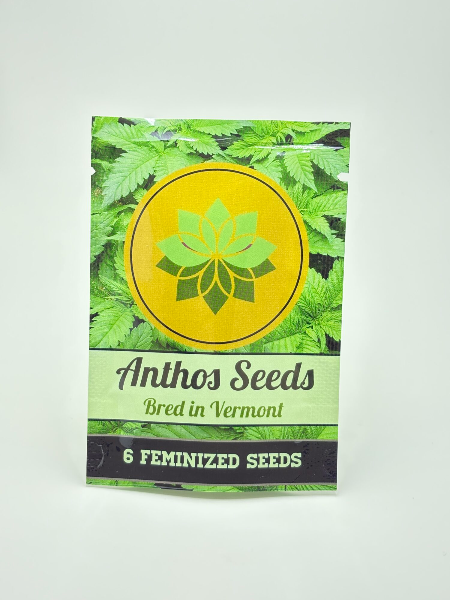IMG_6534.webp Anthomancer by Anthos Seeds - Photoperiod - 6 fem seeds